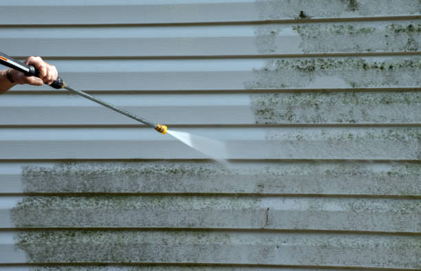 Best Roof Pressure Washing  in Au Sable, MI
