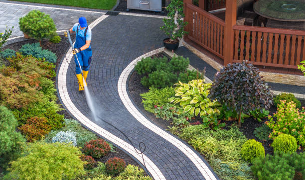Best Roof Pressure Washing  in Au Sable, MI
